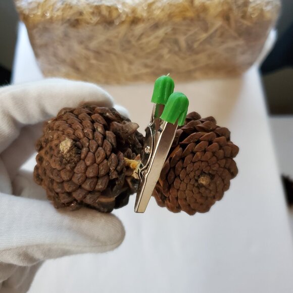 Natural Unscented Wooded Pinecone Clip Ornaments – Holiday Décor – Set of (2) - Picture 3 of 7